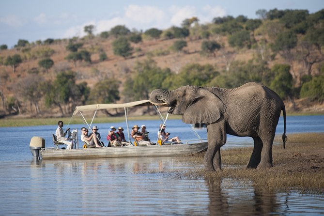 2 Nights 3 Days Chobe Safari ex Livingstone/ Victoria Falls - Key things I’d focus on before you go