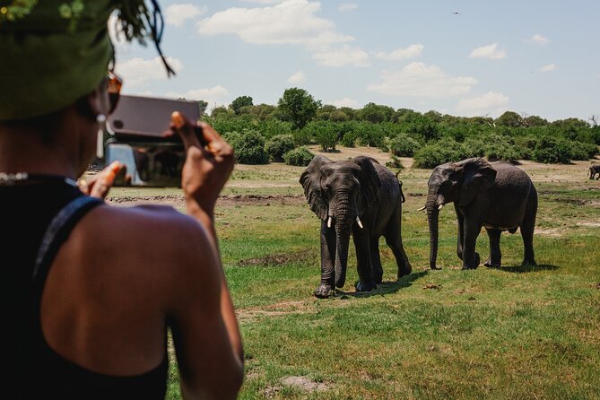 2 Nights 3 Days Chobe Safari ex Livingstone/ Victoria Falls - Day 1: Chobe River cruise, lunch break, then first game drive