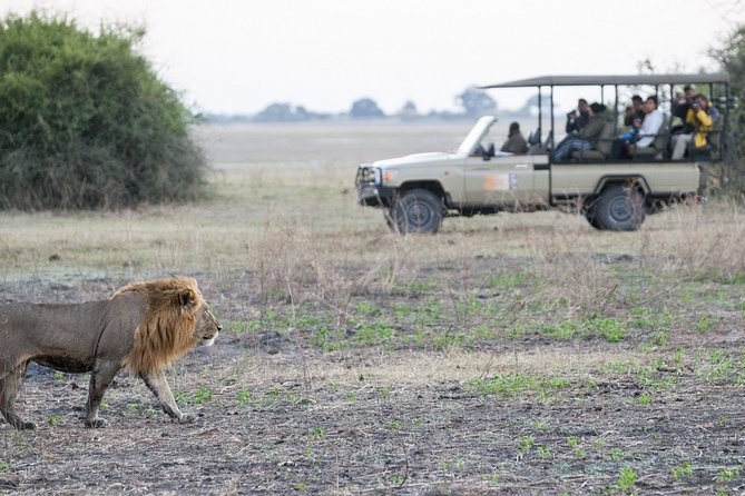 2 Nights 3 Days Chobe Safari ex Livingstone/ Victoria Falls - Day 3: sunrise driving and a final river cruise before drop-off