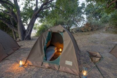 2 Nights 3 Days Chobe Safari ex Livingstone/ Victoria Falls - Day 2: morning drive, camp brunch, then late-afternoon action