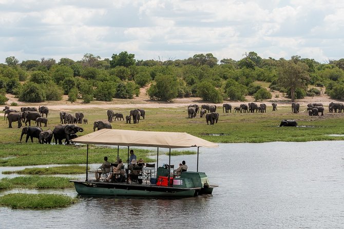 2 Nights 3 Days Chobe Safari ex Livingstone/ Victoria Falls - Camping in the bush for two nights: what to expect (and what not to)