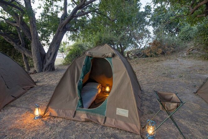 2 Nights 3 Days Chobe Safari ex Livingstone/ Victoria Falls - Day 2: morning drive, camp brunch, then late-afternoon action