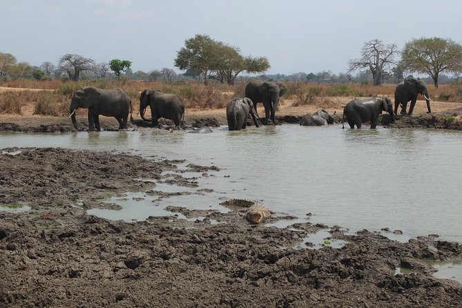 2 nights 3 days safari to mikumi national park - Where you sleep and how the included meals change your day
