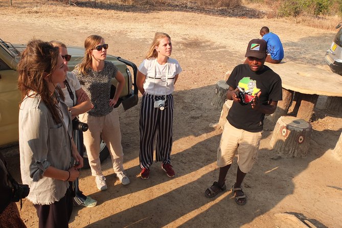 2 nights 3 days safari to mikumi national park - Game drives built around sunrise and sunset