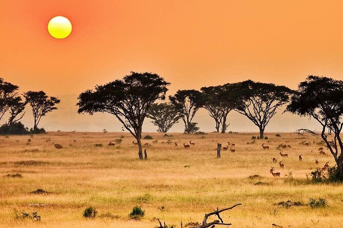 25 day uganda Rwanda kenya and Tanzania safari Zanzibar inclusive - Queen Elizabeth’s Kazinga Channel plus Lake Bunyonyi: wildlife mornings and lake-living breaks