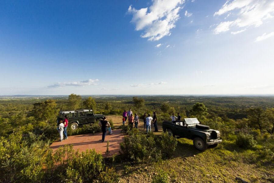 2hr Cork Safari in a Classical Land Rover - Winery Shop Stop and the Cork Strippers Three-Course Meal