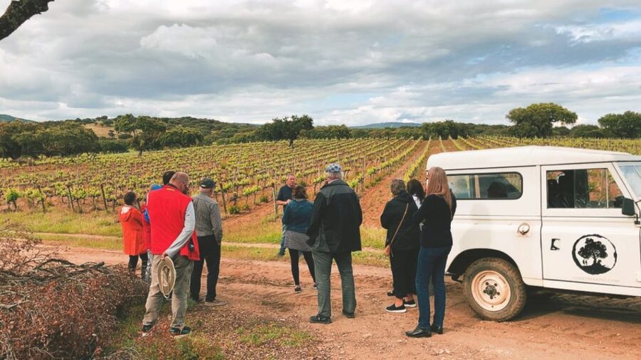 2hr Cork Safari in a Classical Land Rover - Should You Book This Corktrekking Safari?
