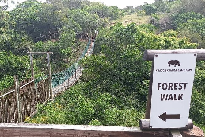 2hr Guided Game Drive at 10h00; Kragga Kamma Game Park Ticket - Kragga Kamma Game Park: a small reserve that still packs sightings