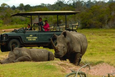 2hr Guided Game Drive at 10h00; Kragga Kamma Game Park Ticket - Getting there: no hotel pickup, so plan your ride early
