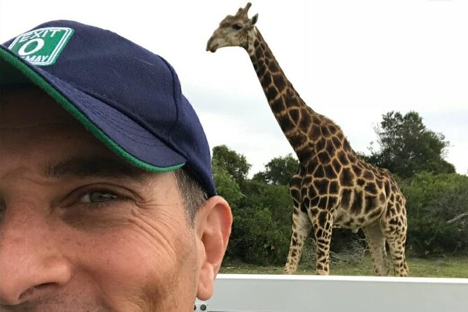 2hr Guided Game Drive at 10h00; Kragga Kamma Game Park Ticket - Cheetah in a private enclosure: close viewing with a different feel