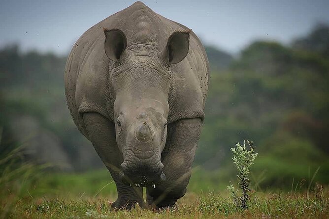 2hr Guided Game Drive at 10h00; Kragga Kamma Game Park Ticket - Guides and close encounters: how the information improves your sightings