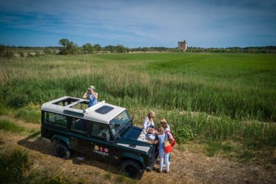 3.5 Hour Camargue 4x4 Safari from Le Grau-du Roi - Wine tasting and food tasting: what’s included and why it matters