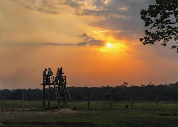 3-Day Chitwan National Park Jungle Safari Tour Package with Pick Up - Key takeaways before you book