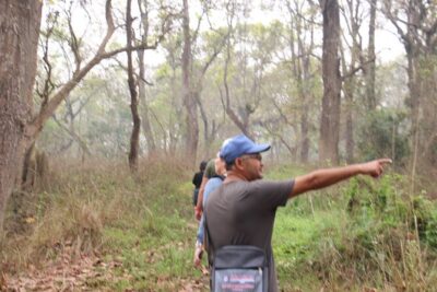 3-Day Chitwan National Park Jungle Safari Tour Package with Pick Up - Price and value: what $180 includes (and why it matters)