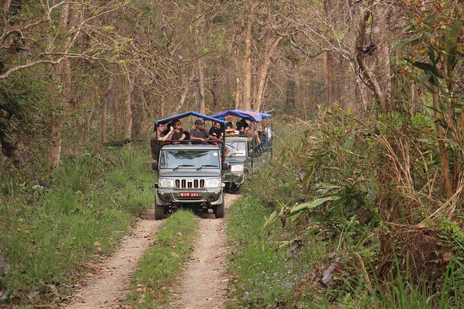3-Day Chitwan National Park Jungle Safari Tour Package with Pick Up - Jeep safari, jungle walk, and the Tharu cultural show: how the wildlife day is put together