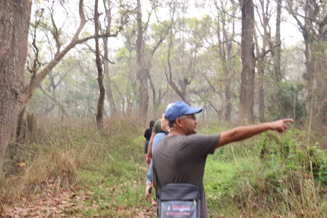 3-Day Chitwan National Park Jungle Safari Tour Package with Pick Up - Price and value: what $180 includes (and why it matters)