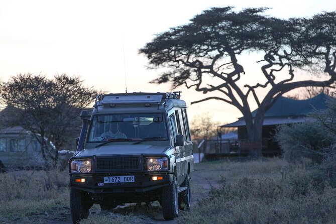 3-Day Classic Serengeti Safari - Why Serengeti and Ngorongoro Fit Together in 3 Days