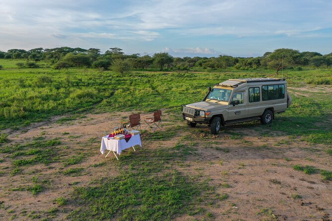 3-Day Classic Serengeti Safari - What’s Included (and Why It’s Better Than Piecing It Together)