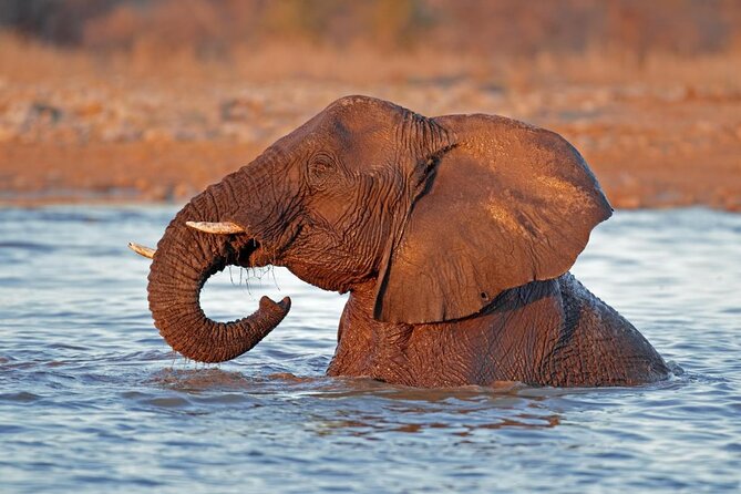 3 Day Etosha Budget Camping Safari - Key points before you go