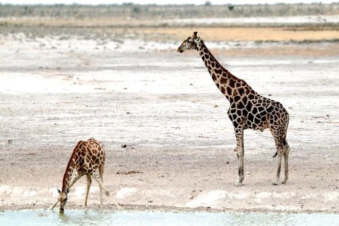 3 Day Etosha Budget Camping Safari - Okahandja craft market on the way back to Windhoek