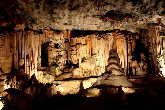 3 Day Garden Route's Best Highlights with Safari from Cape Town - The Garden Route in 3 days: distance, drive time, and group vibe