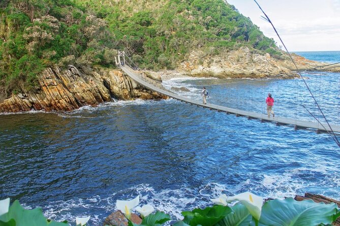 3 Day Garden Route's Best Highlights with Safari from Cape Town - Elephants at Buffelsdrift: how the optional walk works (and what to expect)