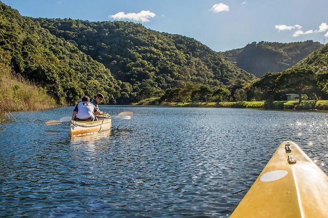 3 Day Garden Route's Best Highlights with Safari from Cape Town - Botlierskop safari in a private reserve: your Big Five odds in the real world