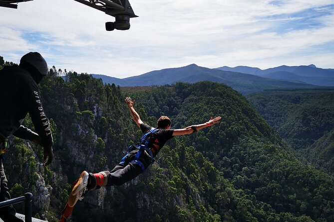 3 Day Garden Route Safari - Tsitsikamma and Bloukrans: hike, swim, and optional adrenaline