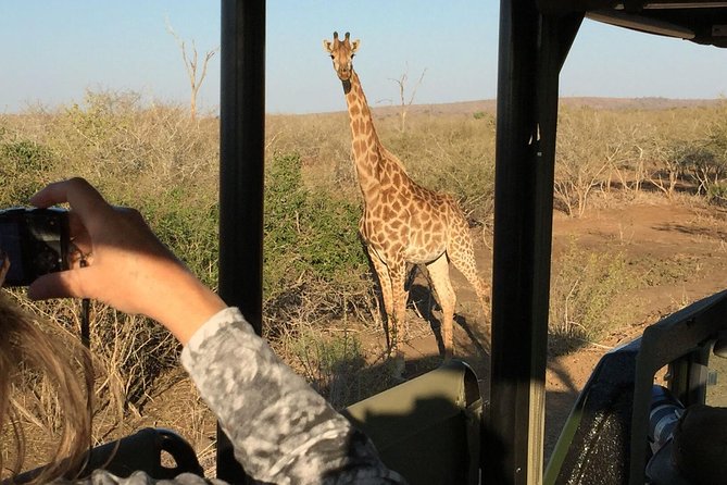 3-Day Kruger National Park Open Vehicle Safari - A max-9 open-vehicle safari is a big deal in Kruger