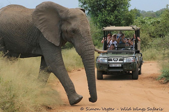 3-Day Kruger National Park Open Vehicle Safari - Johannesburg to Kruger: pickup and the vehicle switch