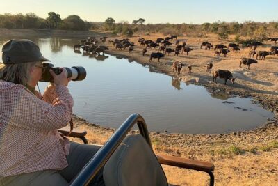 3-Day Kruger National Park Open Vehicle Safari - Day 1: the drive in, then an afternoon game drive