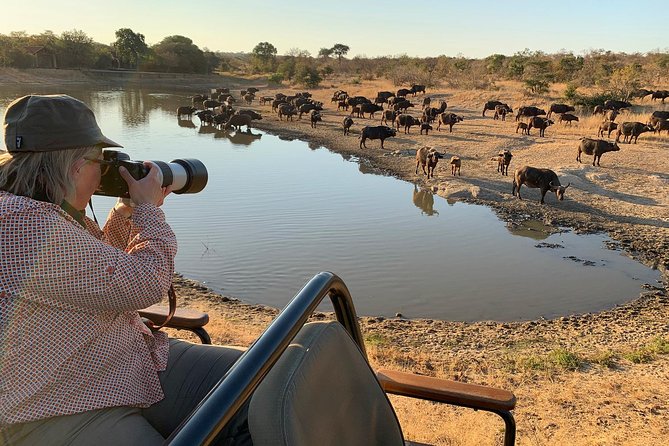 3-Day Kruger National Park Open Vehicle Safari - Day 1: the drive in, then an afternoon game drive