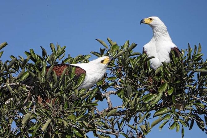 3 Day Kruger National Park Safari & Panorama Route - Where Kruger fits in your 3-day plan