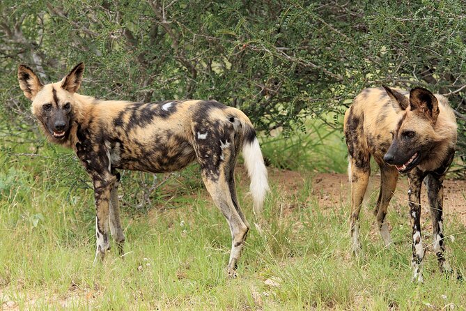 3 Day Kruger National Park Safari & Panorama Route - Day 3: Panorama Route viewpoints, plus Pilgrim’s Rest