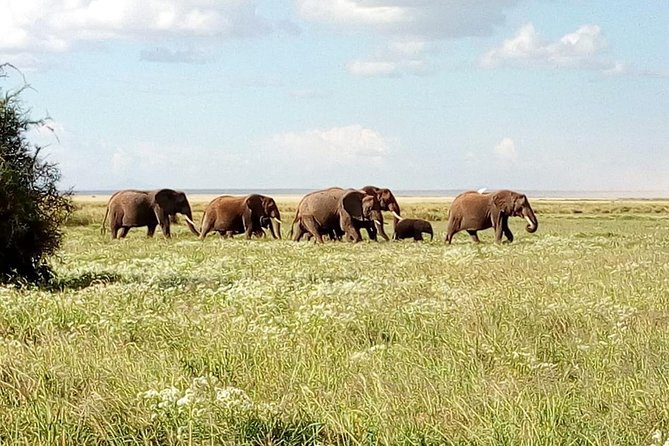 3 Day Maasai Mara & Migration safari - One thing to weigh before you go