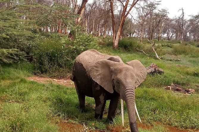 3 Day Maasai Mara & Migration safari - Key highlights you’ll care about