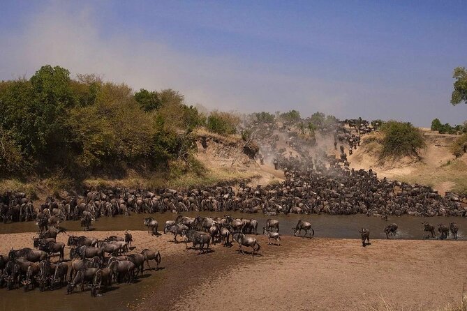 3-Day Masai Mara Group Safari with Pick Up - Key highlights I’d plan around