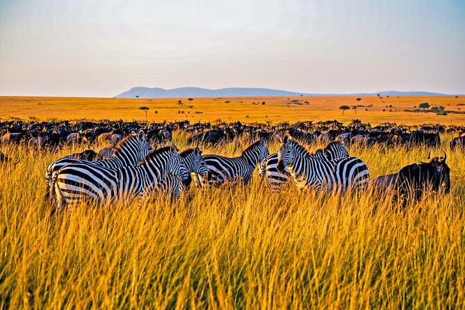 3-Day Masai Mara Jeep Safari - Getting from Nairobi to Masai Mara: Rift Valley viewpoint and Mount Longonot stop