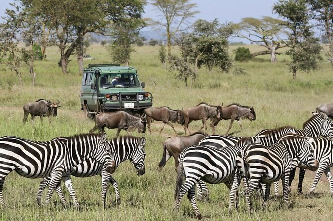 3-Day Ngorongoro Crater Manyara and Tarangire Safari from Arusha - Key Points Before You Go