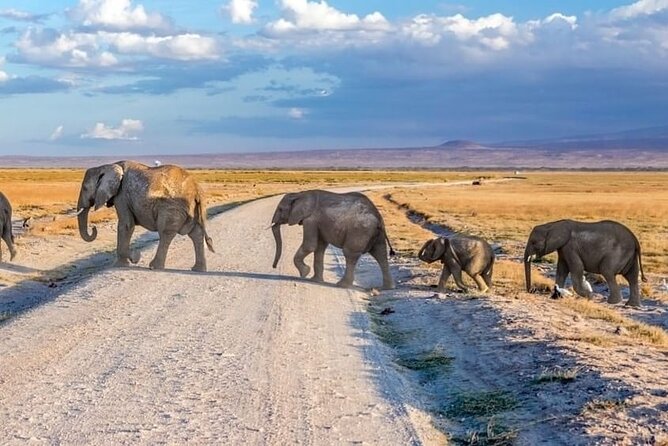 3-Day Ngorongoro Crater Manyara and Tarangire Safari from Arusha - Why This 3-Day Camping Safari Works for First-Time Park Fans