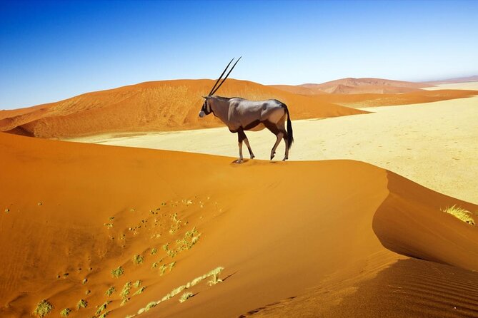 3 Day Sossusvlei Budget Camping Safari - Key things to know before you go