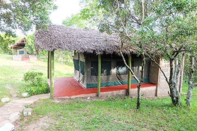 3 days 2 nights budget group safari to Maasai Mara National Reserve - Camping nights at Enkajiang Camp or Rhino Tourist Camp: what budget really means