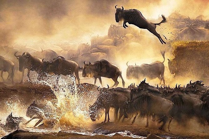 3 days 2 nights budget group safari to Maasai Mara National Reserve - Day 3: optional Maasai village tour and your ride back to Nairobi