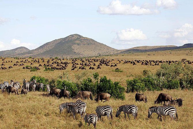 3 days 2 nights budget group safari to Maasai Mara National Reserve - Price and what you pay for separately (so nothing catches you)