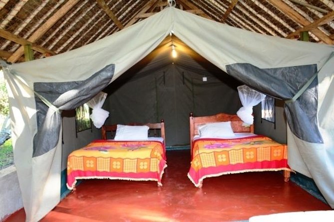 3 days 2 nights budget group safari to Maasai Mara National Reserve - Guide tip: why I’d ask for Peter and what good driving changes