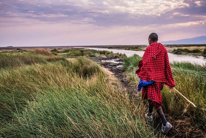 3 Days 2 Nights Group Joining Serengeti and Ngorogoro Safari - Day 2: Sunrise game drive, hot lunch or a lunch pack, then back through Ngorongoro
