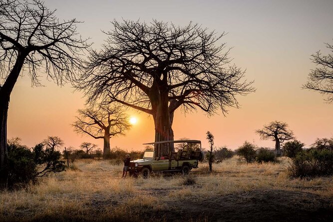 3 Days 2 Nights Group Joining Serengeti and Ngorogoro Safari - Food, camping gear, and what “included” really covers