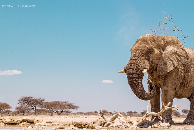 3 Days 2 Nights Group Joining Serengeti and Ngorogoro Safari - Price and value at $900 per person (what you’re really paying for)
