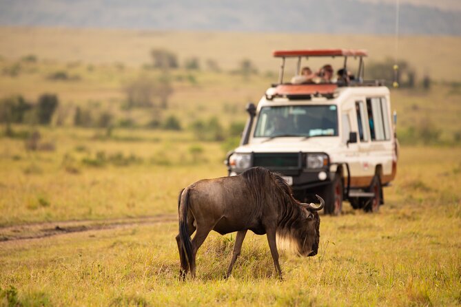 3 days fly in safari - Day 1: Arrival around 11:00 and a Seronera sunset game drive