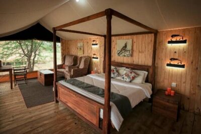 3 days fly in safari - Day 2: Early Seronera spotting, lunch on the move, then heading toward Ngorongoro